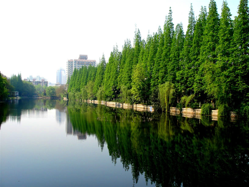 北京经济开发区同济中路_北京市亦庄经济技术开发区同济中路18号_亦庄同济南路属于什么街道